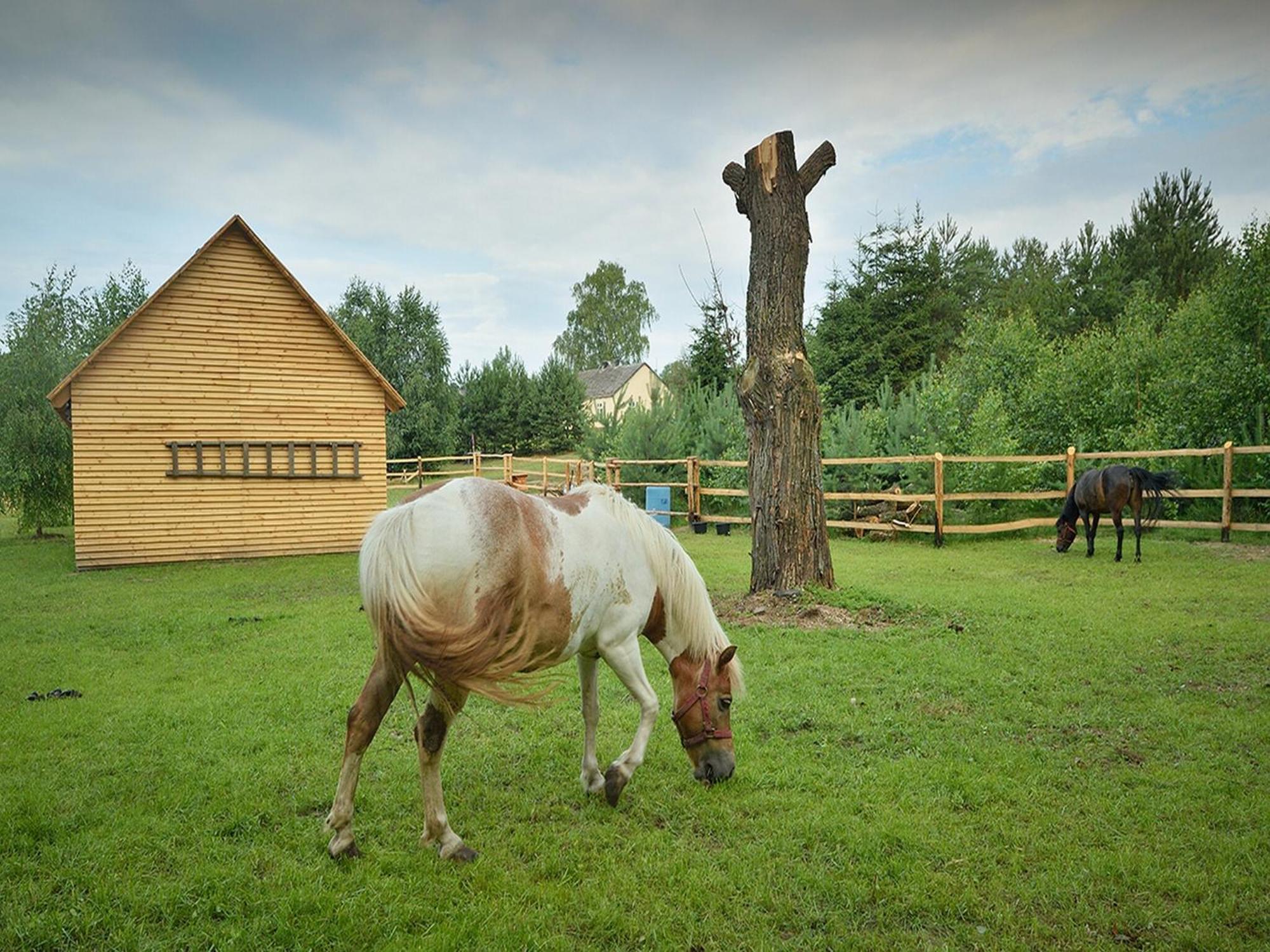 Wooden Holiday Home In Skrzynia With Terrace 오시크 외부 사진